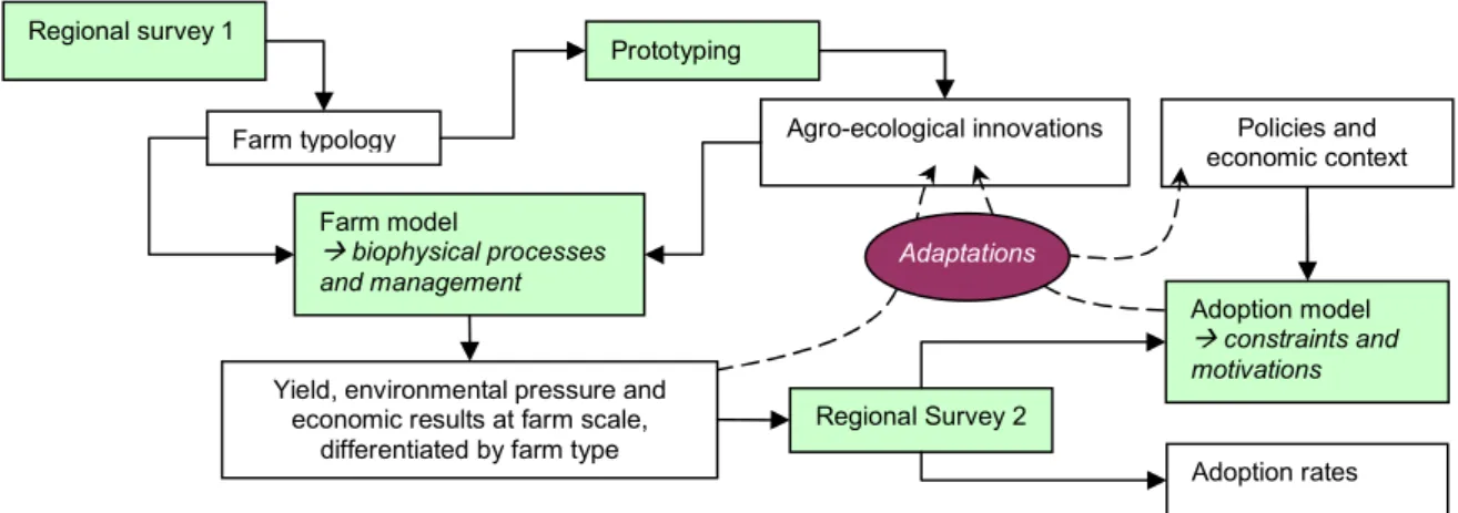 Figure 1. Overview of the method to assess ex ante the potential of adoption of agro-ecological innovations