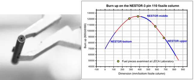 FIG. 1. Fuel piece of fissile column  before shearing (NESTOR/01) 