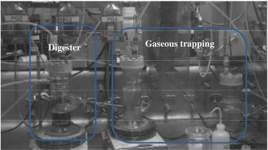 FIG. 1. Oxidative digestion setup. 