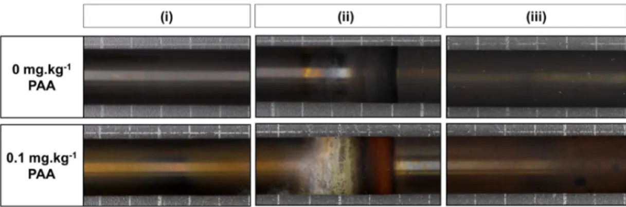 Figure 3. Photograph of the (i) humid vapour section, (ii) liquid/vapour interface section and (iii) liquid  section of the IRIS tube after testing at 0 and 0.1 mg.kg -1  PAA 