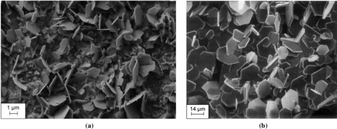 Figure 7. SEM-secondary electron images of (a) liquid/vapor interface section after testing at 0.1 mg.kg -1 PAA in IRIS and (b) pure hematite produced by hydrothermal growth in the work by 