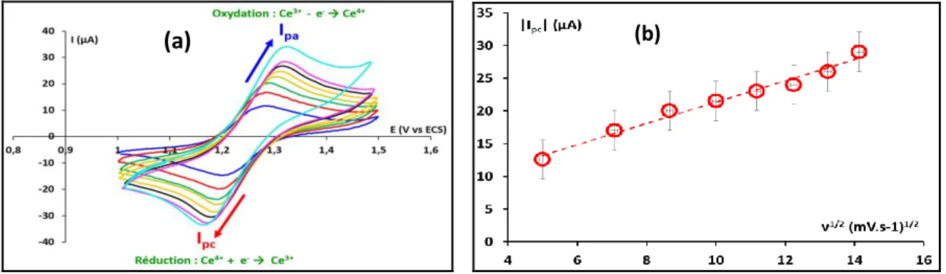 Figure 1 : (a) : Voltampérogrammes cycliques de Ce(IV) ≈ 5 mM dans le TBPs pré-équilibré avec HNO 3  (4,9 M) réalisés à plusieurs vitesses de  balayage (de 25 à 200 mV.s -1 )