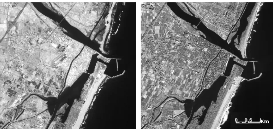 Figure 1 :  Ikonos panchromatic images of the most affected region of Tohoku before (left) and after  the  tsunami (right).