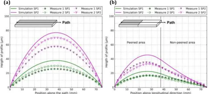 Fig. 3: Height of profile along the longitudinal direction for samples of 5 mm thickness: a) totally shot- shot-peened, b) and partially shot-peened (SP1 and SP2) 