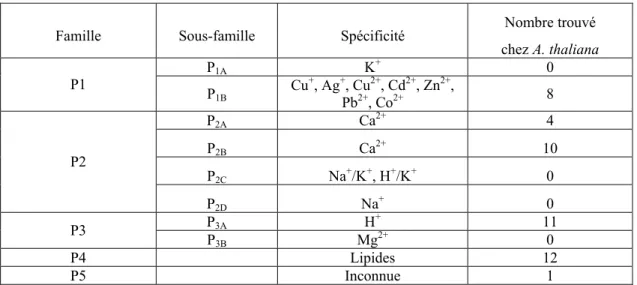 Tableau 2 : Classification des ATPases de type P selon leur spécificité et présence de ces  ATPases chez A