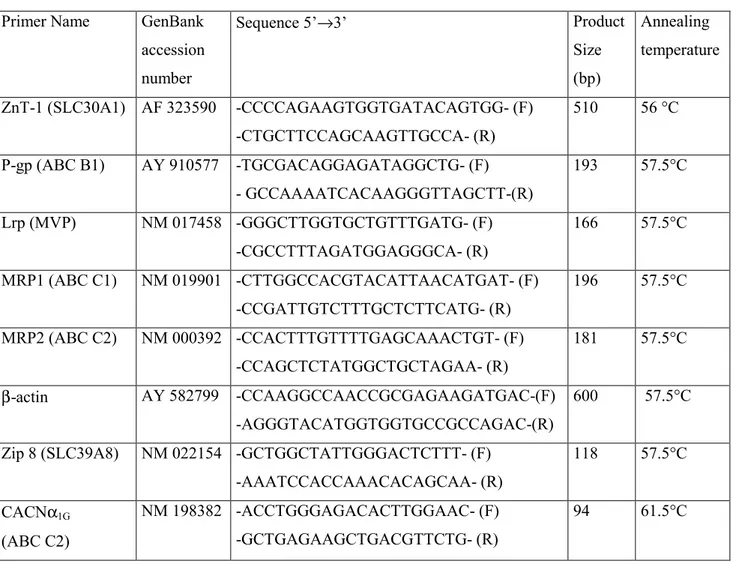 Table 1. Oligonucleotide primers used for RT-PCR 