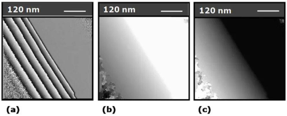 Figure II.4  Diérentes images de phase obtenues sur un biseau de siliium.