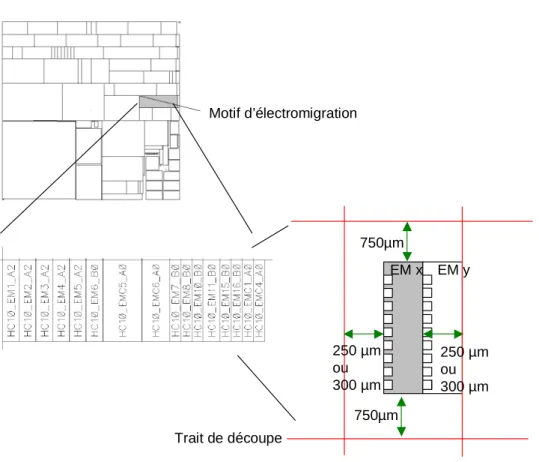 Figure 3.2: Chemin de découpe pour la mise en boîtier du motif d’électromigration EM x