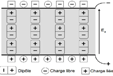 Figure 4 : Représentation schématique de la polarisation dans un diélectrique. 