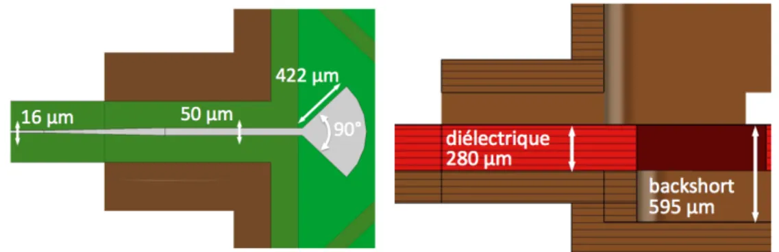 Figure 7.3 – Dimensions d’une des antennes suspendues dans le guide d’onde carr´ee ainsi que la ligne microruban et le backshort.