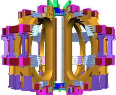 Figure 0-3: ITER magnetic configuration for plasma confinement (courtesy of ITER)  The ITER project 