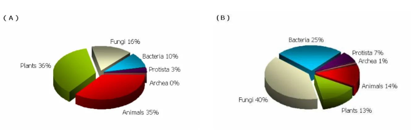 Figure  1-10  Répartition des séquences (a) et des familles (b) de CYPs dans les différents organismes vivants