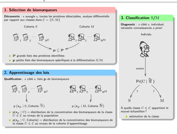 Fig. 1.2 Les trois étapes majeures dans la reconstruction de profils moléculaires pour la découverte de biomarqueurs et la classification.
