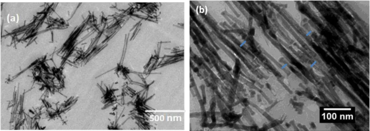 Figure  III-8 :  Deux  Images  de  MET  d u   échantillon  isotrope  de  nanofils  de  cobalt  dispersés  dans le PS-192-K