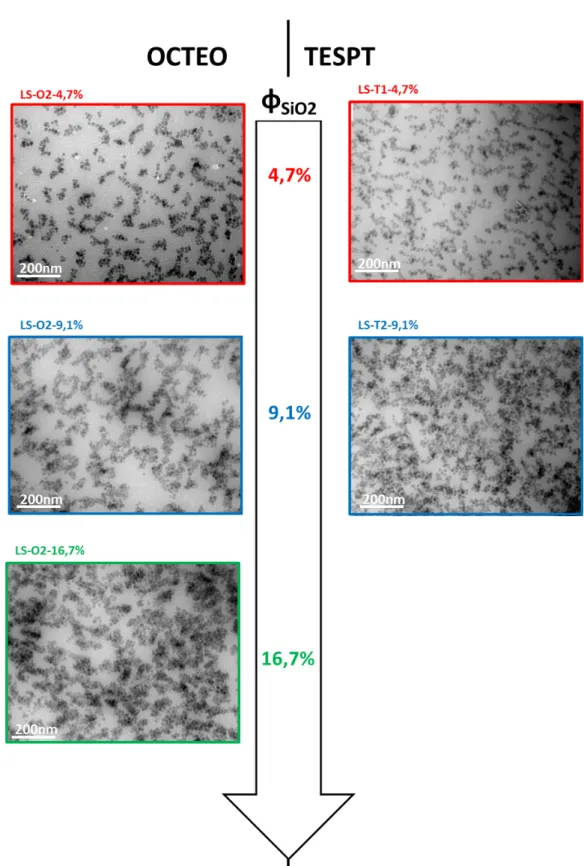 Figure 2.28: Images MET en champ proche de quelques systèmes modèles