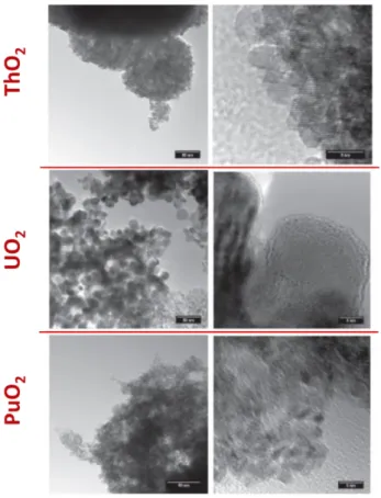 Figure 9 : Observations MET d’AnO 2  nanocristallins obtenus par décomposition hydrothermale des précurseurs  oxalates  correspondants  (la  barre  d’échelle  correspond  à  50  nm  pour  les  images  de  gauche  et  5  nm  pour  les  images de droite).[11