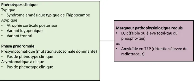 Figure 13 : Entité clinico-biologique de la MA utilisée par l’IWG2 