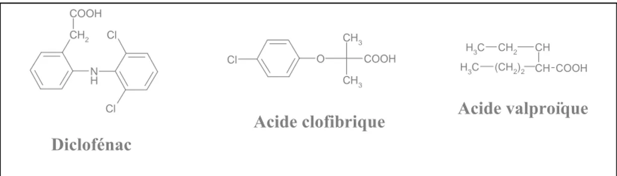 Figure 7 : Exemples de médicaments pouvant conduire à la formation d’acylglucuronides toxiques   après action de l’UGT (D’après Ritter, 2000 [112]) 