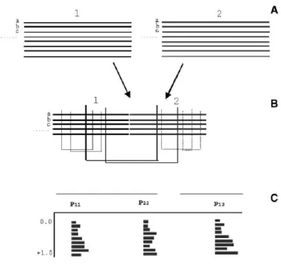 Figure 9. La méthode double hybride in-silico (i2h). (A) Alignements de séquences de deux protéines 1 et 2