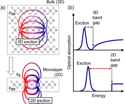 Figure 1.15. (a) Real-Space representation of electrons and holes bound into excitons for the three-dimensional  bulk and a quasi-two-dimensional monolayer