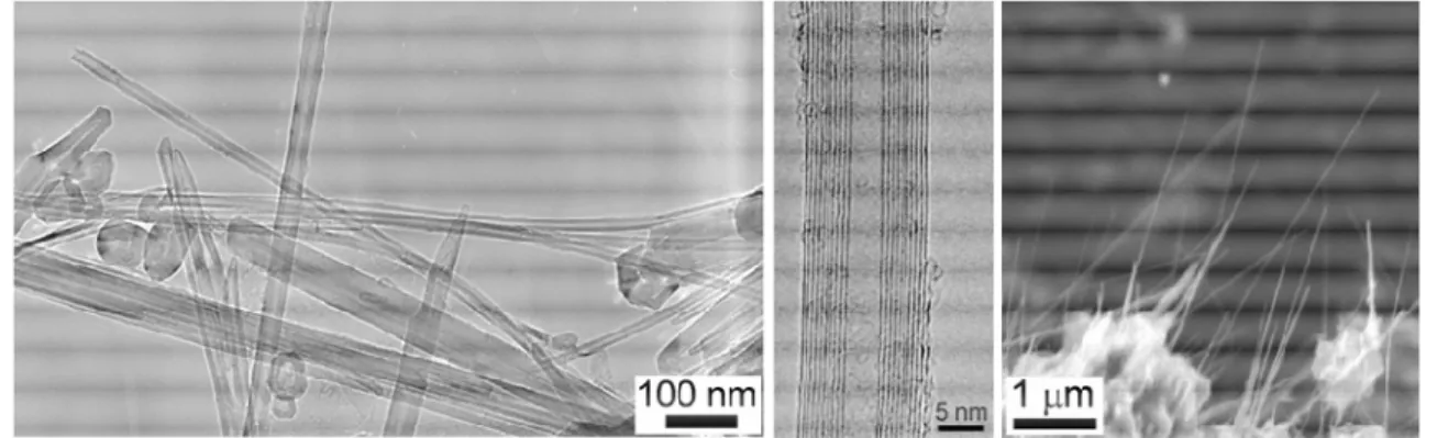Figure II-16 – Images MET et MEB de nanotubes de carbone fabriqués par n-Tec 23