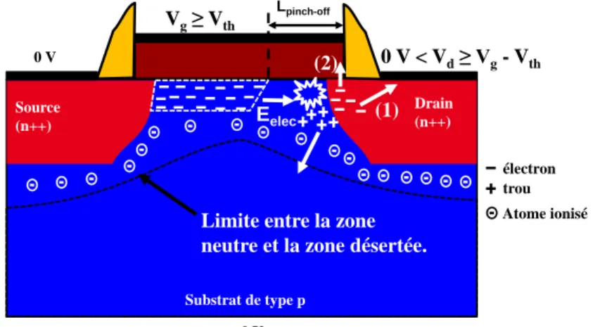 Figure 1.16 : Point mémoire PDSOI : programmation de l’état ‘1’ par ionisation par impact