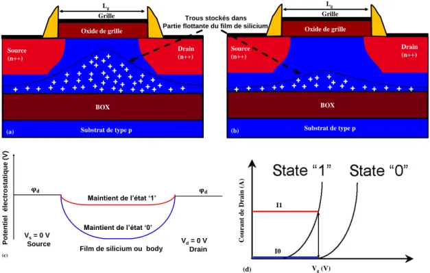 Figure 1.24 : (a) Film de silicium avec un surplus de charge : Stockage du ‘1’. (b) Film de silicium  sans surplus de charge : Stockage du ‘0’