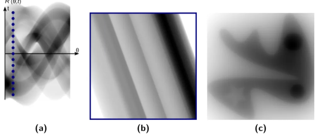 Figure 4.5: Unﬁltered backprojection: (a) Unﬁltered sinogram, (b) unﬁltered backprojec- backprojec-tion of one projecbackprojec-tion, (c) unﬁltered backprojecbackprojec-tion from all projecbackprojec-tions.