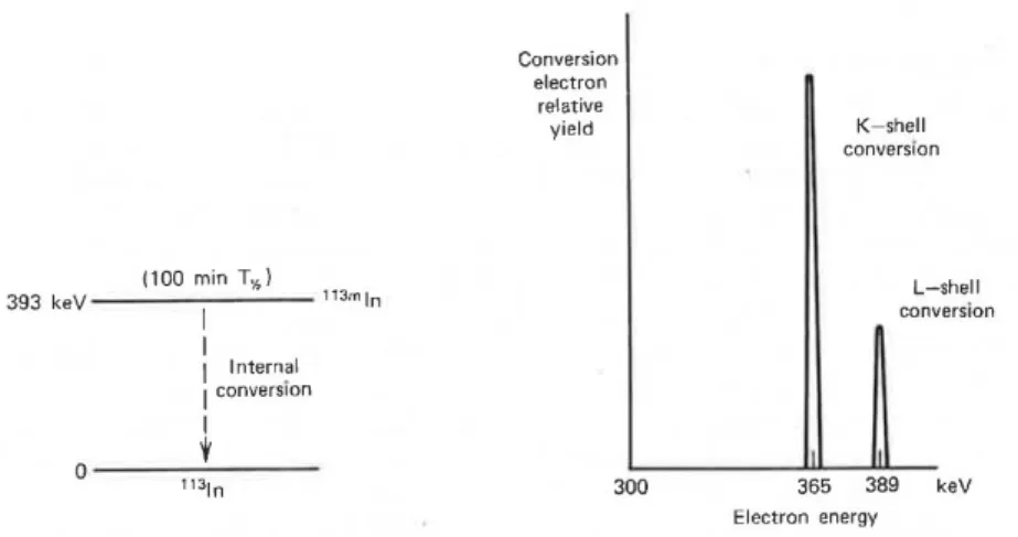 Figure 1.5 – Le spectre en énergie des électrons de conversion attendu suite à une conversion interne du niveau isomérique à 393 keV de l’ 113m In.