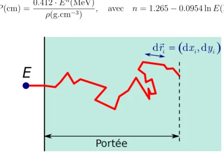 Figure 1.9 – Représentation de la notion de portée. Il s’agit de la profondeur maximale ( | P