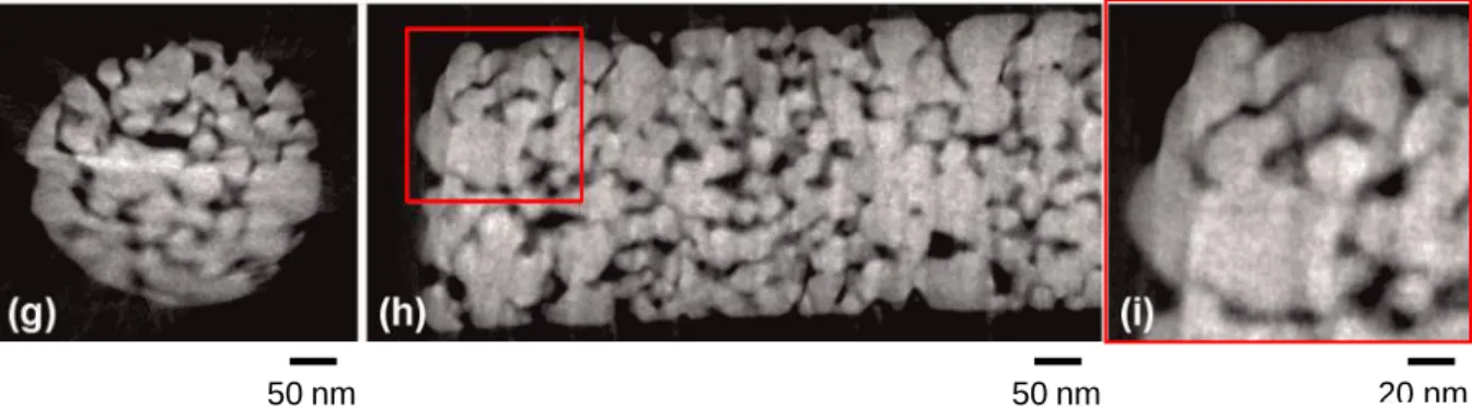 Figure 3 – Reconstruction par tomographie électronique d'un échantillon de nanoparticules d'argent agglomérées