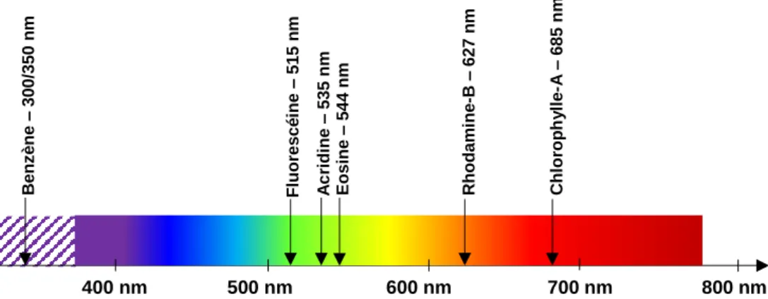 Figure  5  –  Exemples  de  fluorochromes  classiques  souvent  utilisés  dans  la  littérature,  ainsi  que  leur  longueur  d'onde  d'émission