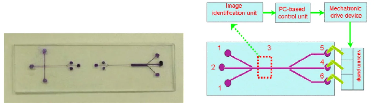 Figure 19 – Dispositif microfluidique en verre pour la cytométrie en flux développé par Huang  et al