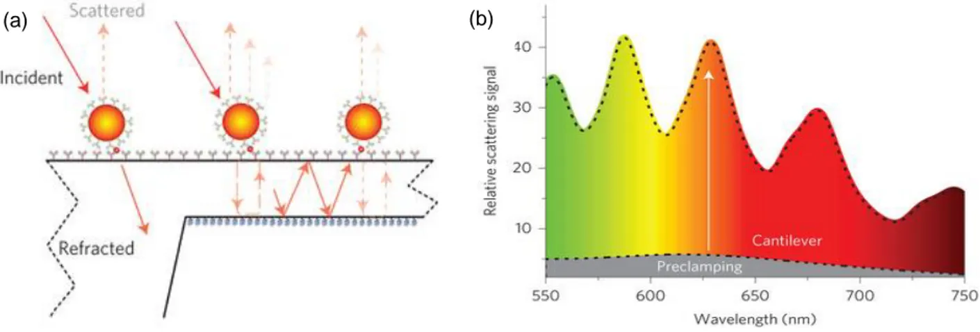 Figure 24 – Représentation schématique du principe de détection plasmonique et allure des résultats obtenus [64]