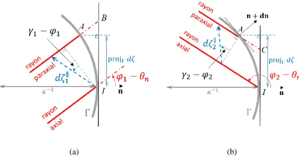 Figure 3.6. Rayons d’un pinceau en milieu anisotrope avant (a) et après (b) réflexion sur un bord  courbe.