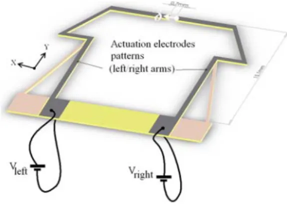 Fig. 1. 3 D CAD model of the piezoeletric device with top face electrode patterns (V lef t and V right are the controlled inputs for actuating the left and right arms).