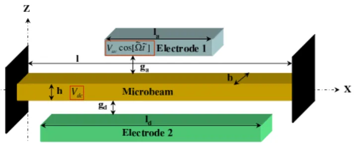 Fig. 1. Schema of an electrically actuated microbeam