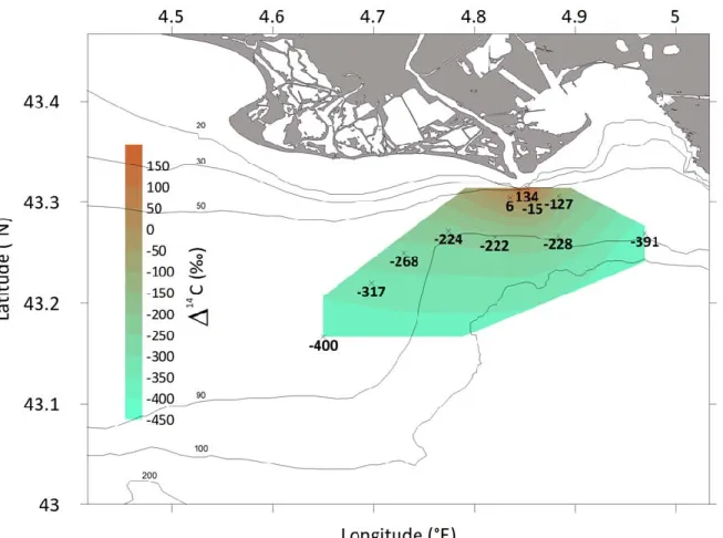 Figure  2.  Spatial  distribution  of  Δ 14 C OC   in  the  Rhône  River  prodelta.  Values  close  to  150  ‰  correspond  to  terrestrial  enriched  material  whereas  -400  ‰  indicates  continental  shelf  old  material