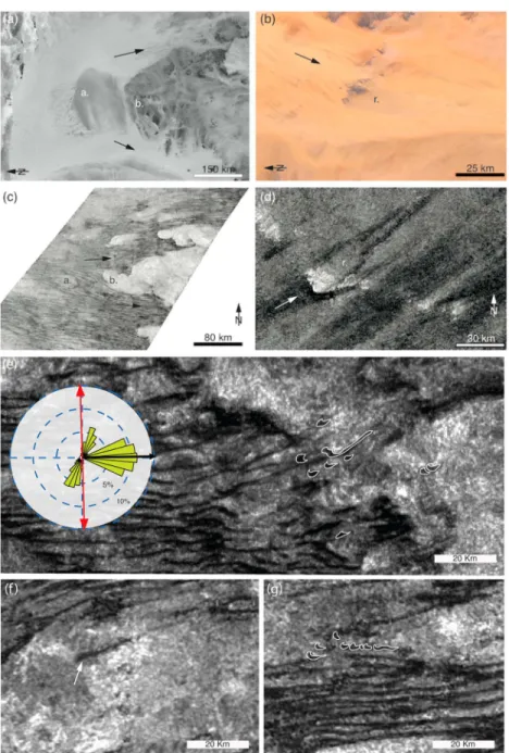 Figure 1. Examples of denoised SAR images of Titan’s dune ﬁelds to be compared with examples on Earth