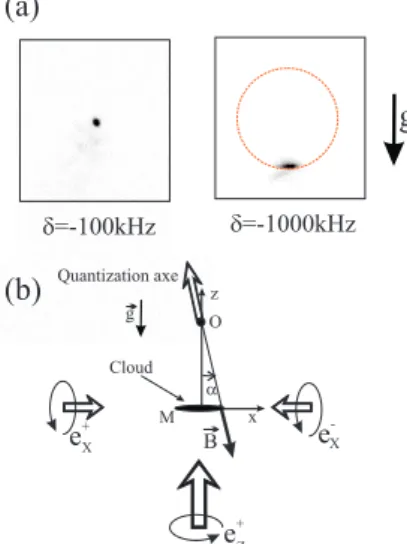 Fig. 11. (a) Images of the cold cloud in the red MOT. The cloud position for δ = −100 kHz coincides roughly with the center of the MOT whereas it is shifted downward for δ =