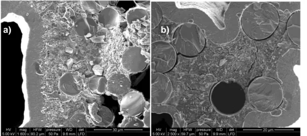 Figure 3: ESEM observation of minicomposites after ageing in air at 600°C under load with AlN  initially introduced in the matrix (a) and without AlN (b)
