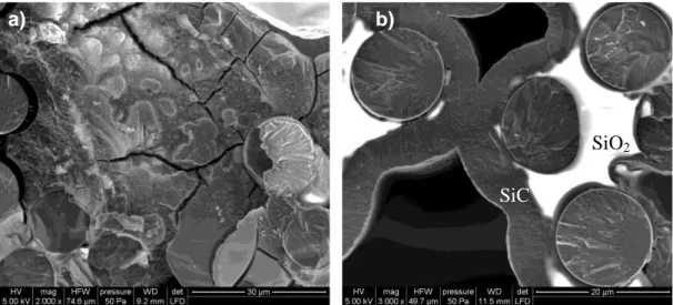 Figure 4: ESEM observation of minicomposites after ageing in air at 800°C under load with AlN  initially introduced in the matrix (a) and without AlN (b)