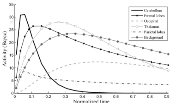 Fig. 1. Regions of the Zubal head phantom used for image simulation. 