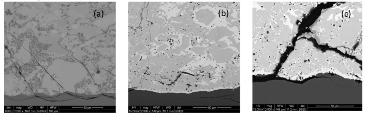Figure 7. SEM micrographes of 40MSi 2 40M 5 Si 3 -20SiC(% Vo.) (M= Ti or Nb)/ SiC interfaces                                       (a) TiSi 2  + Ti 5 Si 3  + SiC after 3h at 1600°C heat treatment ( je ne comprends pas TiSi2 