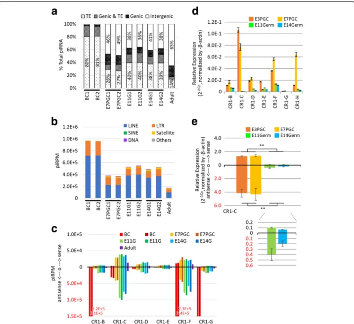 Fig. 2 Developmental stage-dependent genomic associations and TE expression modulation of piRNA candidates