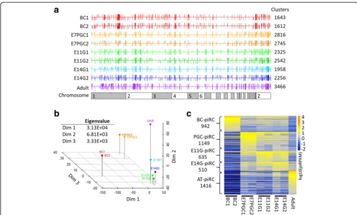 Fig. 4 PiRNA cluster analysis reveals stage-dependent differential expression of piRNA precursors
