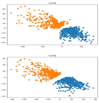 Fig. 20. Lung dataset m=1005 d=2900, k=2. Our new NPautoencoder. Top : without regularisation, Bottom : with regularization