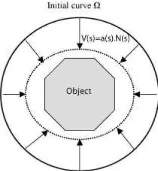 Figure 2.5: Active contour evolution: a deformable contour is initialized and evolves in order to minimize an energy