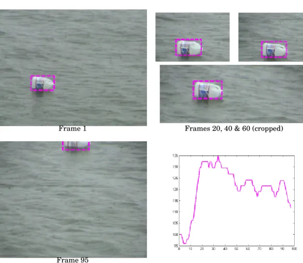 Figure 6.14: Tracking on sequence “WaterObject”: frames 1, 20, 40, 60 and 95 (relative to the reference frame)
