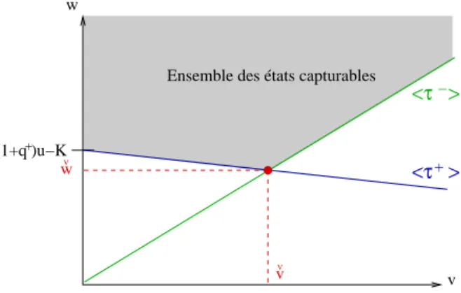Fig. 3.5 – Représentation dans l’espace (v, w) des nappes de dimension 3 <τ − > and <τ + >, de leur intersection (variété D de dimension 2 ), ainsi que de l’ensemble des états capturables.